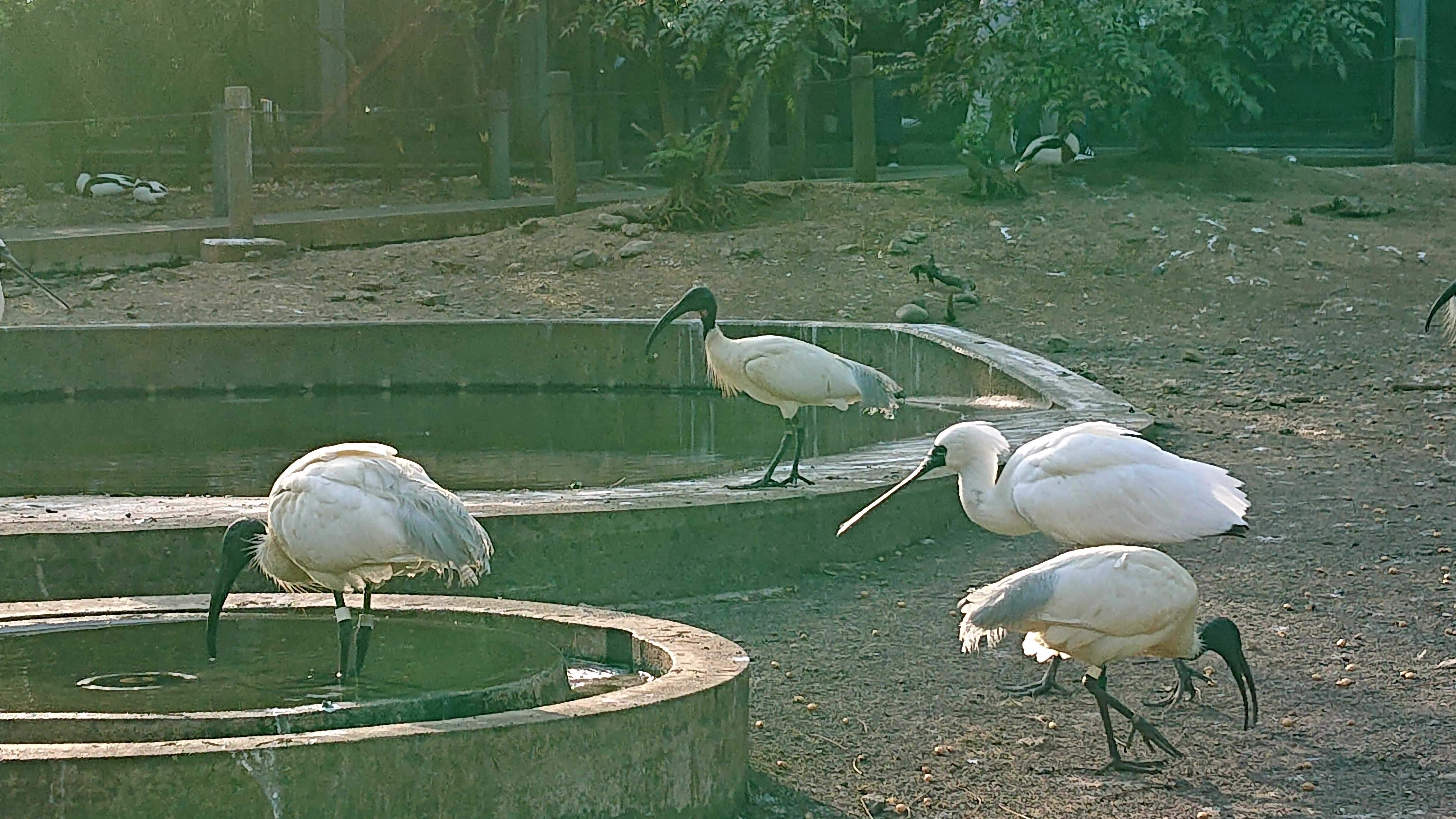 DSC_1865.JPG