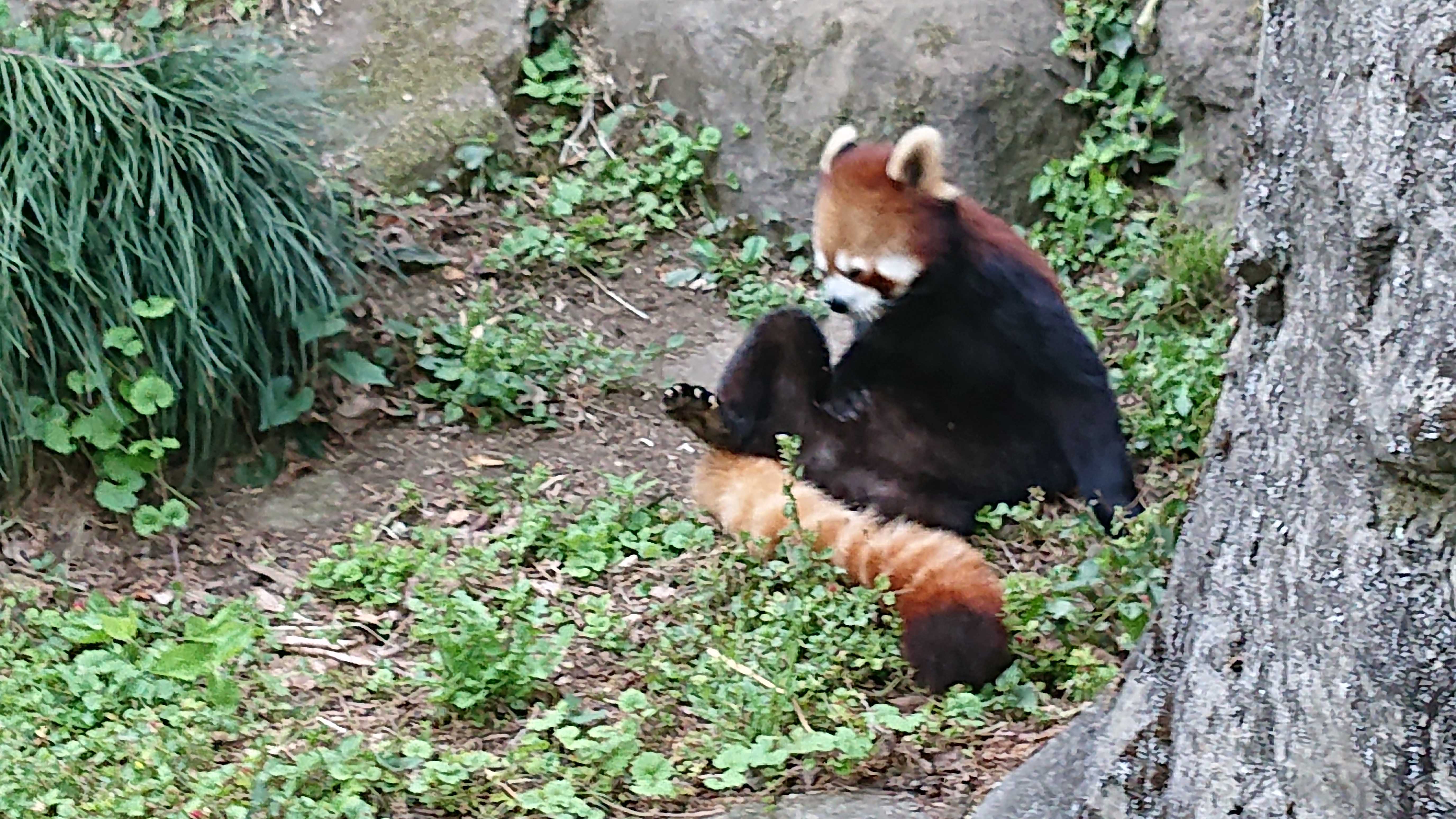 DSC_1861.JPG