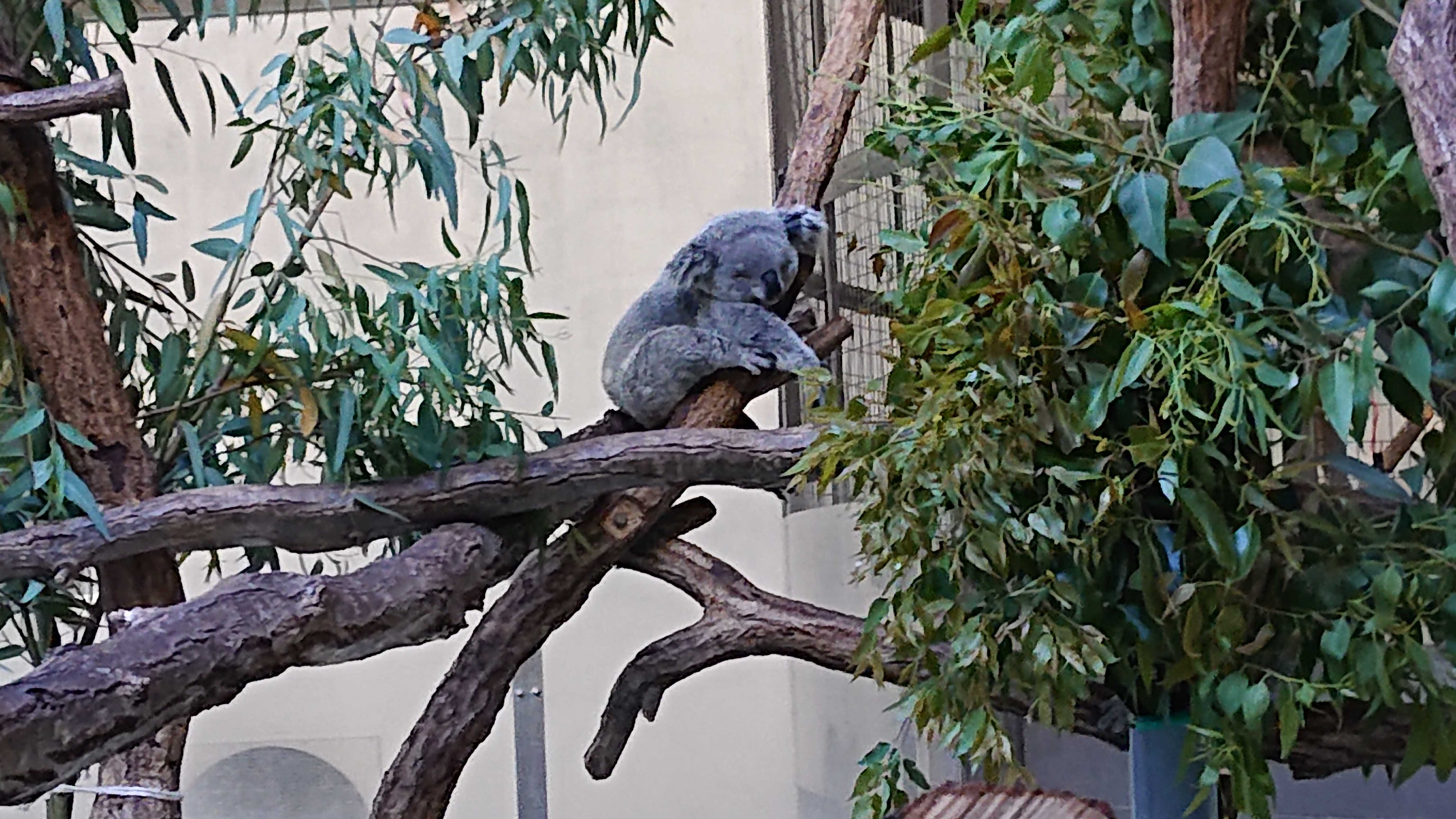 DSC_1858.JPG